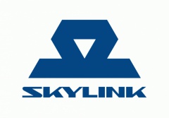 Абонентам подвижной радиотелефонной связи Skylink стандарта CDMA