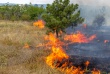 Контроль за пожароопасной обстановкой на территории Ярославской области: лесные и торфяные пожары