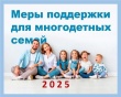На какие выплаты может подать документы многодетная семья в 2025 году