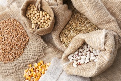 Требования к семенам реализуемым насыпью и в крупногабаритной таре