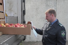 Временные ограничения на поставки яблок и груш из Республики Беларусь