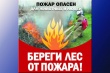 Ярославская межрайонная природоохранная прокуратура разъясняет правила пожарной безопасности в лесах