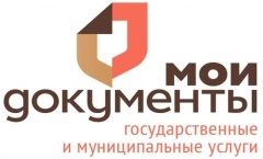 МФЦ предоставляет государственные  услуги ФНС России