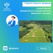 Управление Росреестра по Ярославской области проводит «горячую линию».