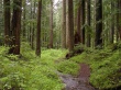 Экологическая конференция «Экологическое состояние лесного фонда Гаврилов-Ямского муниципального района».