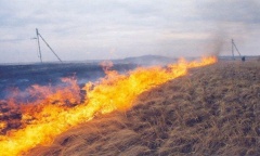 Правила противопожарного режима на землях сельскохозяйственного назначения.