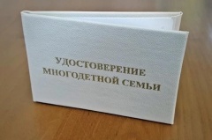 С 2024 года установлен единый образец удостоверения многодетной семьи