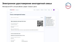 Электронное удостоверение многодетной семьи: что важно знать и как оформить?