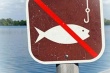 Вводятся ограничения на рыбную ловлю