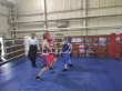 Сегодня состоялось Первенство Гаврилов- Ямского муниципального района по боксу среди юношей и девушек