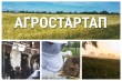 Конкурс на получение грантов на развитие семейных ферм и грантов «Агростартап».