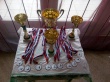 Второй открытый межмуниципальный гандикап-турнир на Кубок Главы Гаврилов-Ямского МР по быстрым шахматам